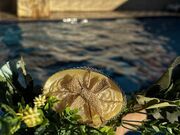 Sabonetes Personalizados para Casamento em Palhoça