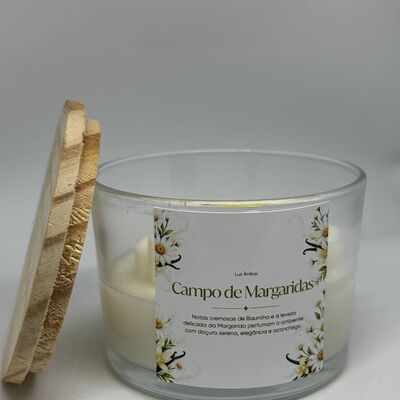 Campo de Margarida - 127