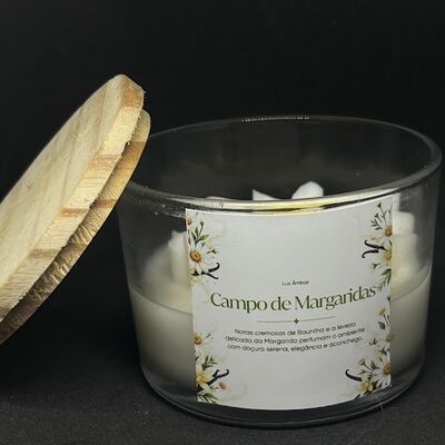 Campo de Margarida - 128