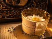 Valor de Velas Aromáticas Artesanais no Ibirapuera
