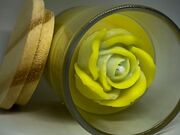 Velas Aromáticas para Relaxar no Parque América