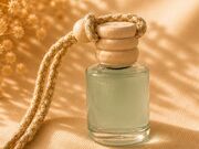 Aromatizadores Pequenos em Queimados