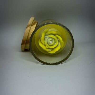 Jardim de Narcisos - 90