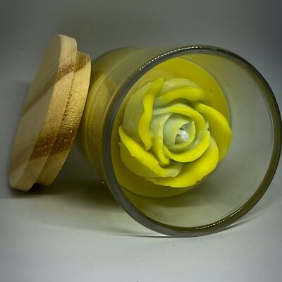 Jardim de Narcisos - 96